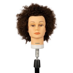 Dateline Professional Sandra Mannequin