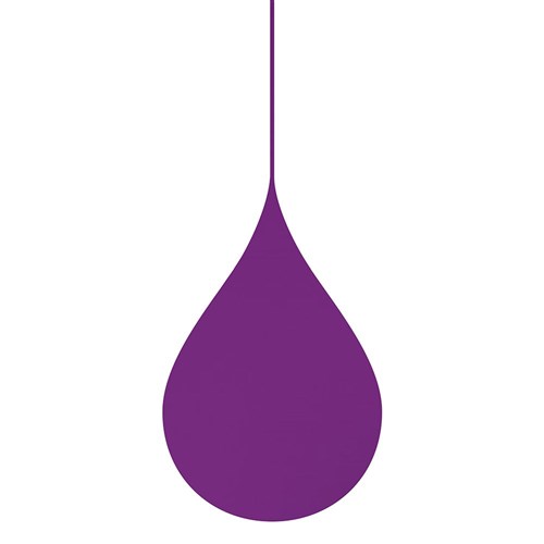 Screen Puredips Colour Recharger Hair Mask Violet